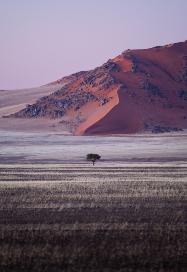 NAMIBIE SOUS TENTE 8 jours