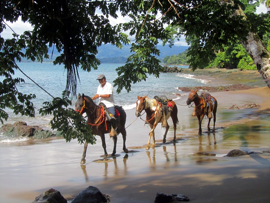 Circuit à dos de cheval au Costa Rica